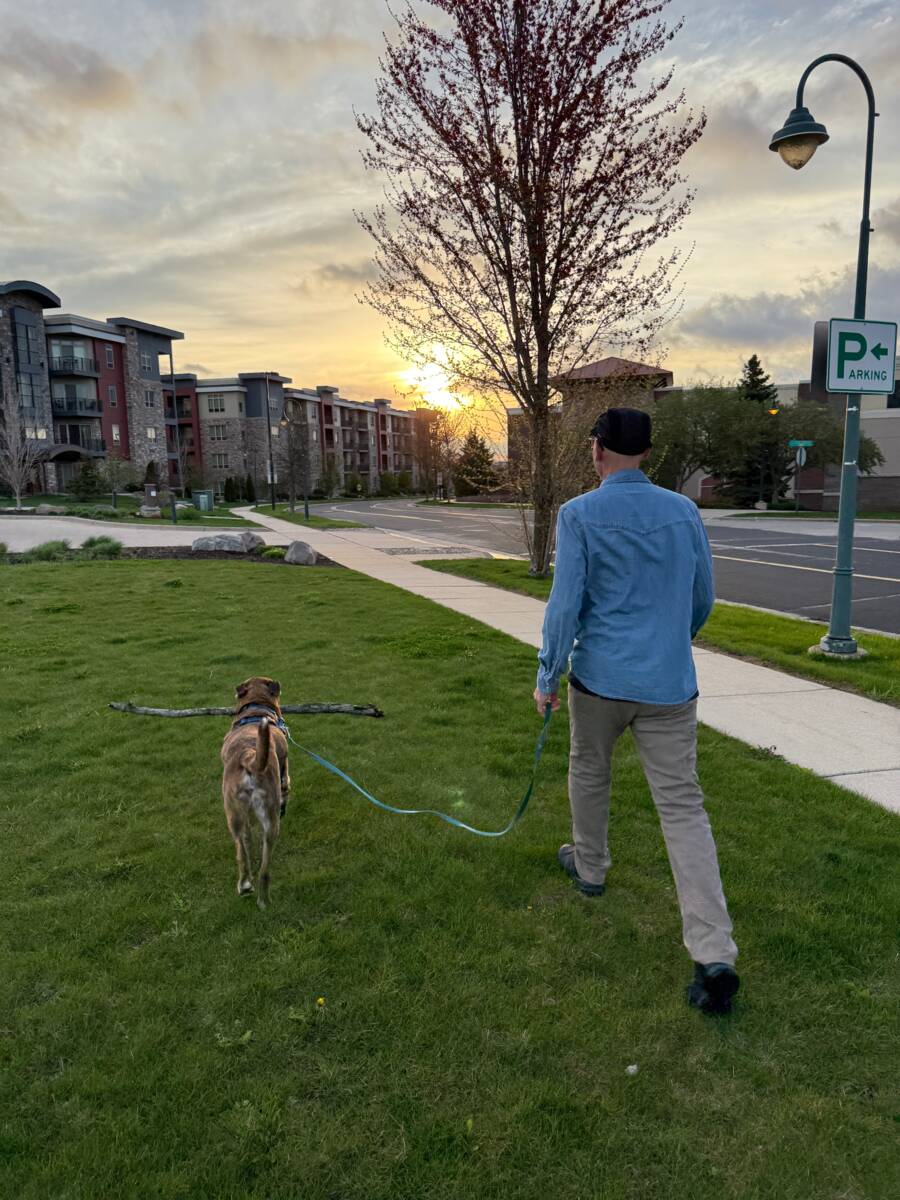 Reggae and James walking together at sunrise with a loose leash