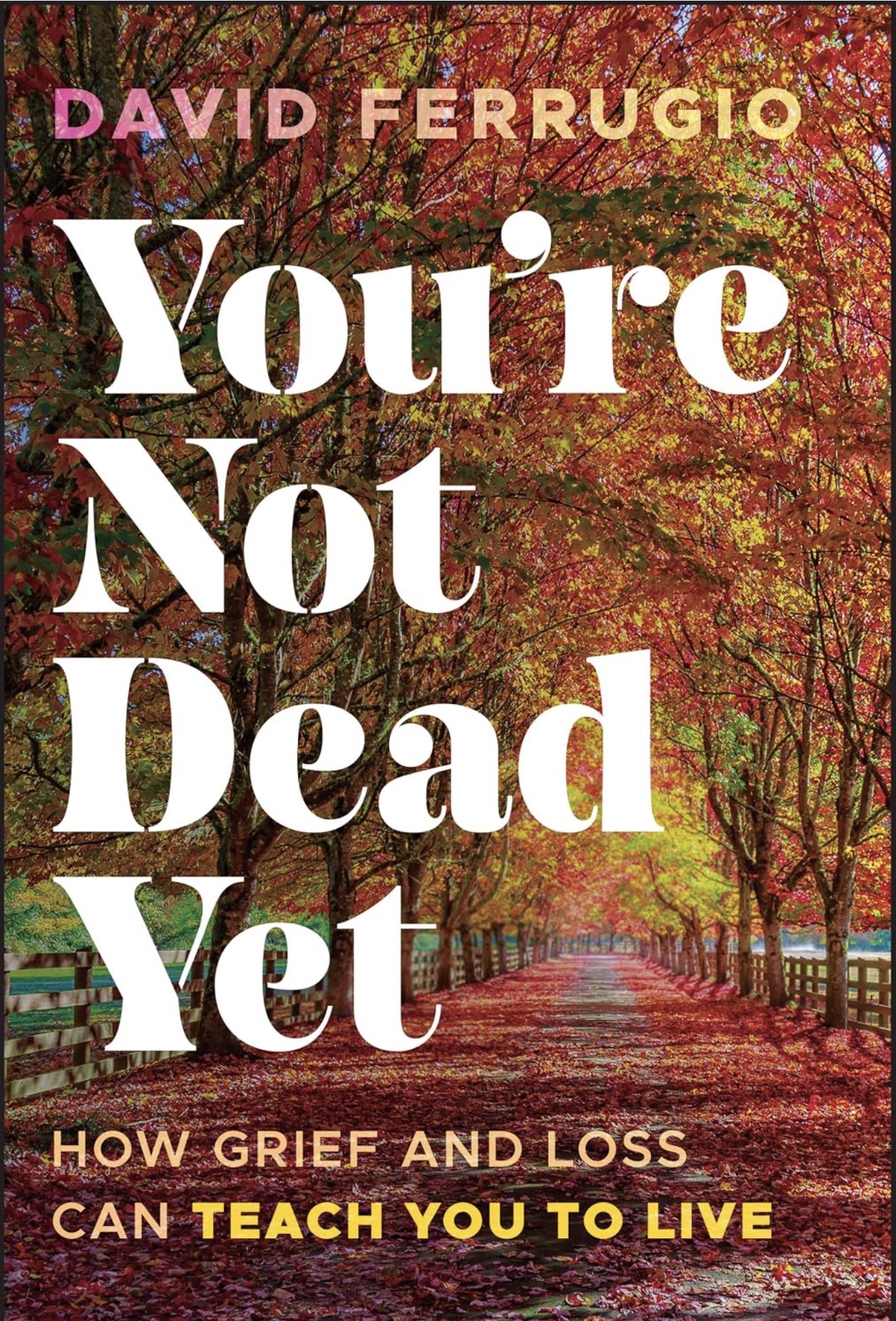 Cover of You’re Not Dead Yet: How Grief and Loss Can Teach You to Live by David Ferrugio